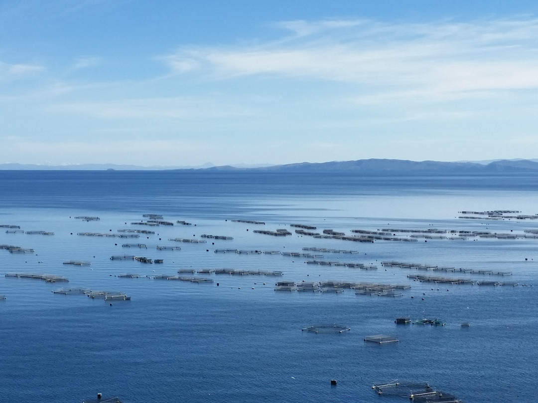 Hotel Jose Antonio Puno主图