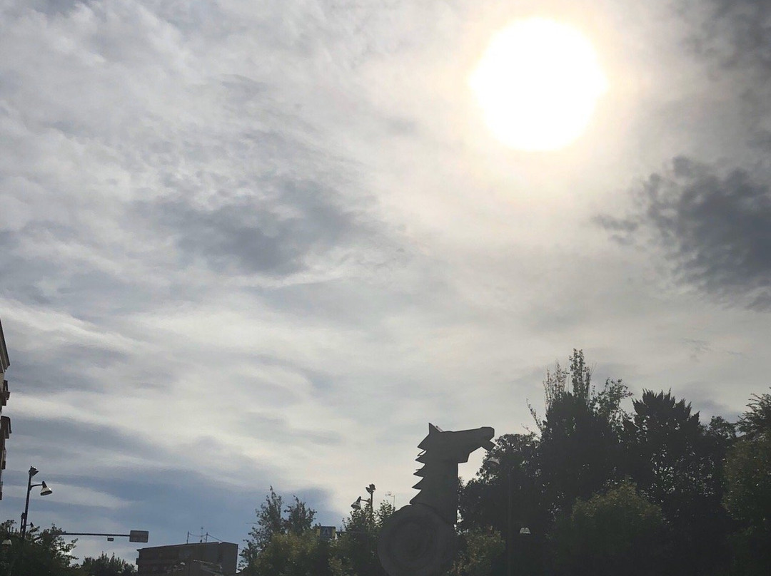 Fira de Tots Sants景点图片