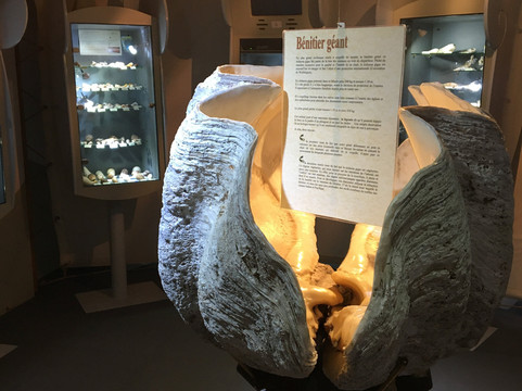 Musée de la Nacre - Gallet Nacres-Ile d'Aix必去景点