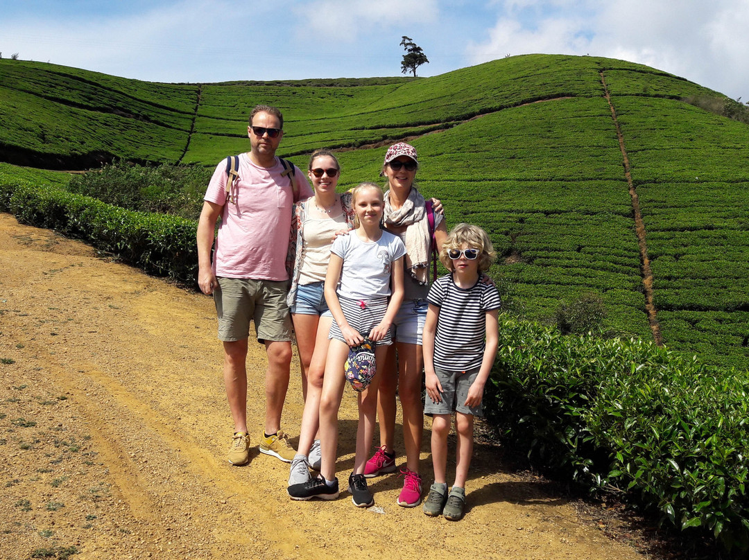 Nuwara Eliya Roots-奴娃拉伊利雅必去景点