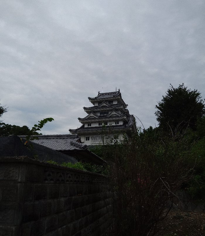 Kawashima Castle-吉野川市必去景点