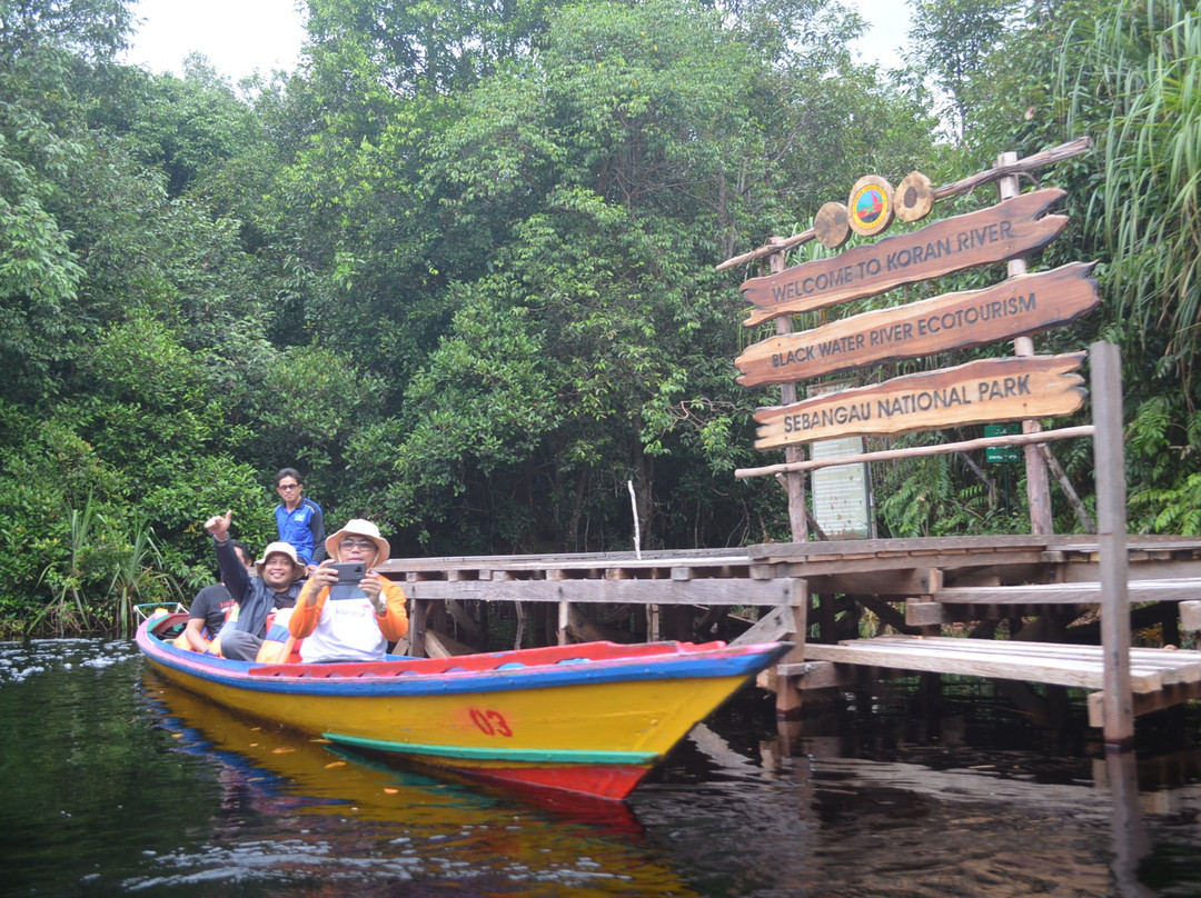 Sebangau National Park Central Kalimantan景点图片