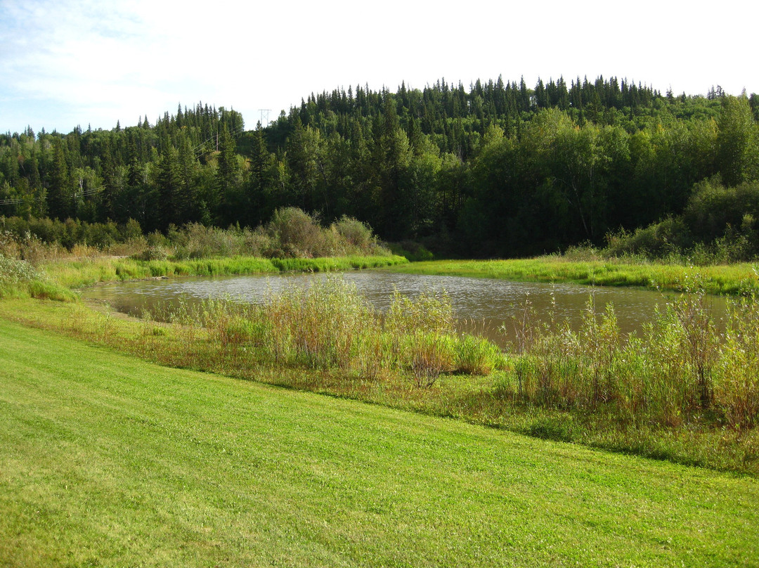 Peace Island Park-Taylor必去景点