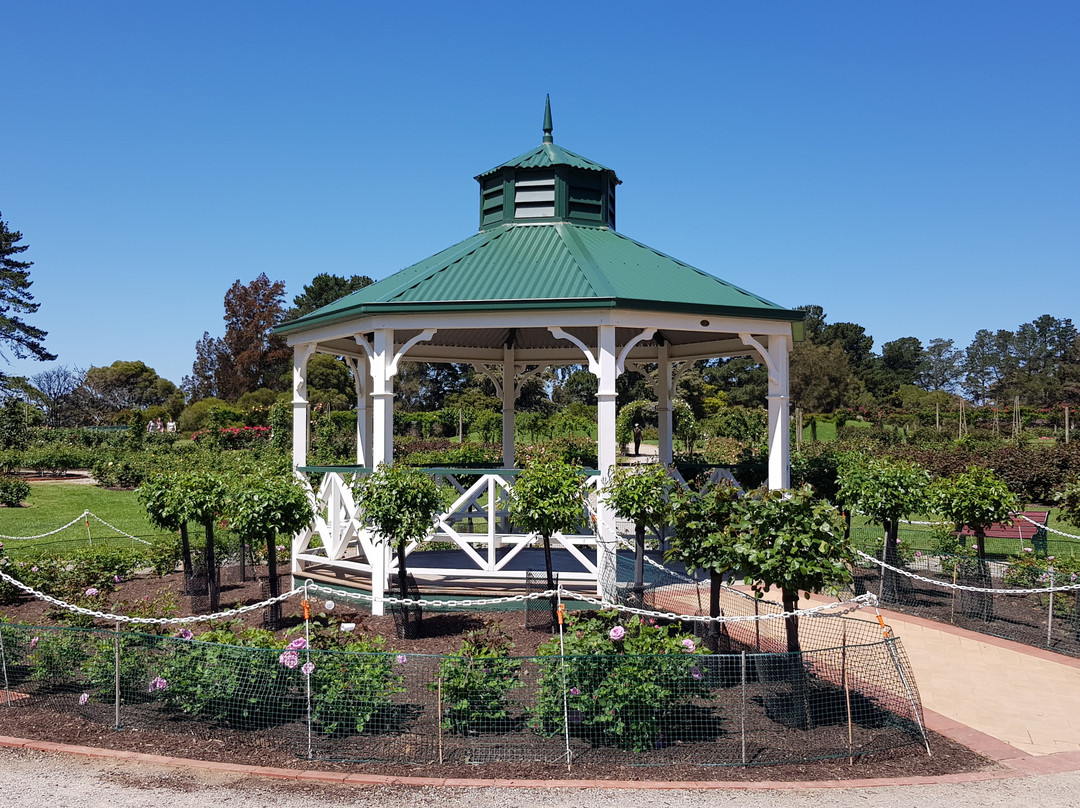 Victoria State Rose Garden-韦里比必去景点