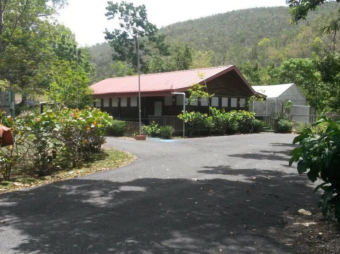 Susua State Forest景点图片