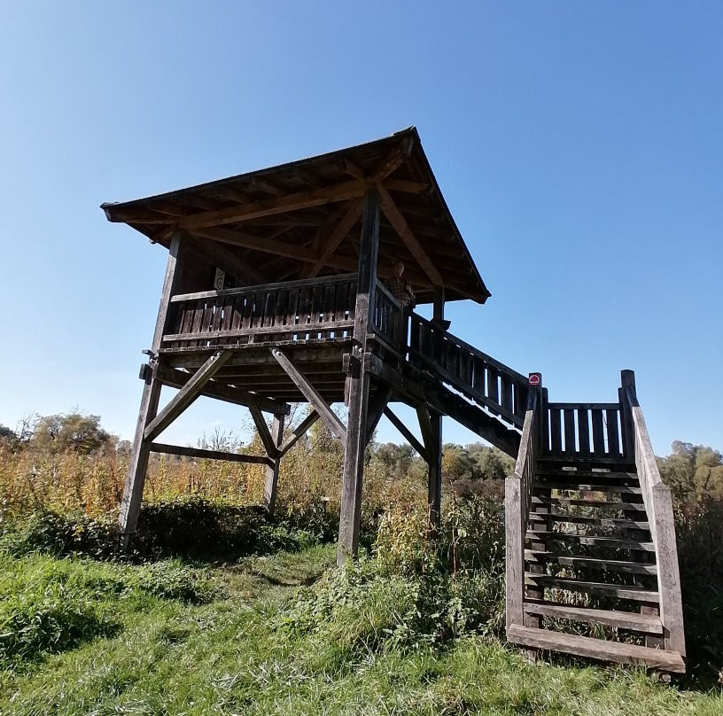 Infohaus Isarmuendung-Moos必去景点
