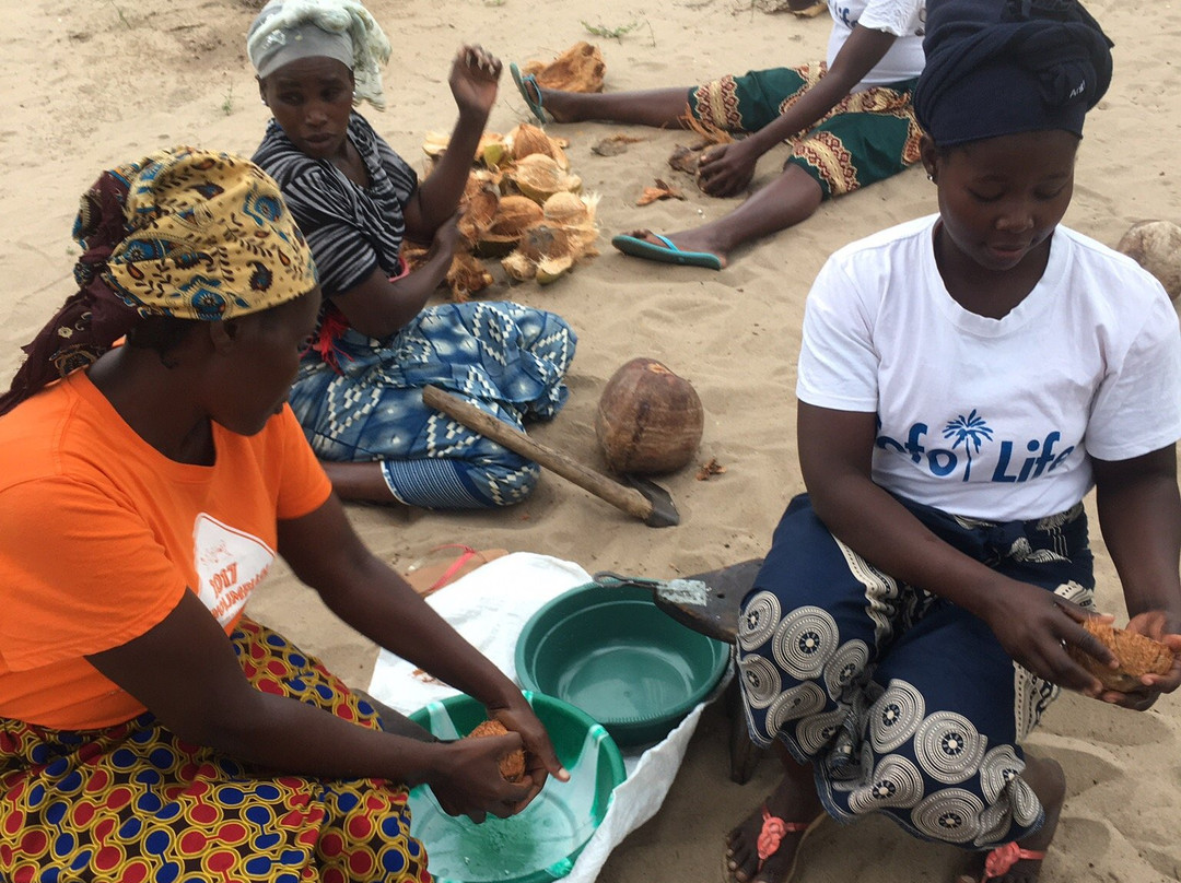 Tofo Life-托佛必去景点