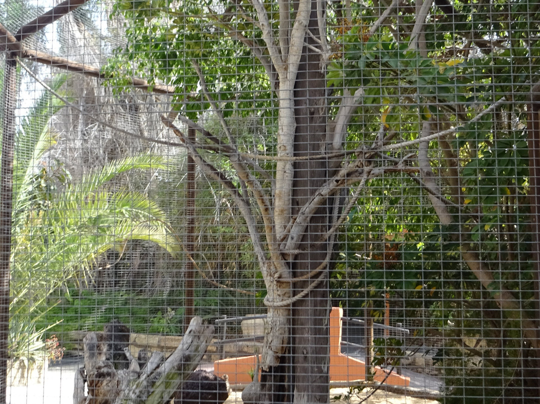 Park Las Aquilas Jungle Park-阿罗纳必去景点