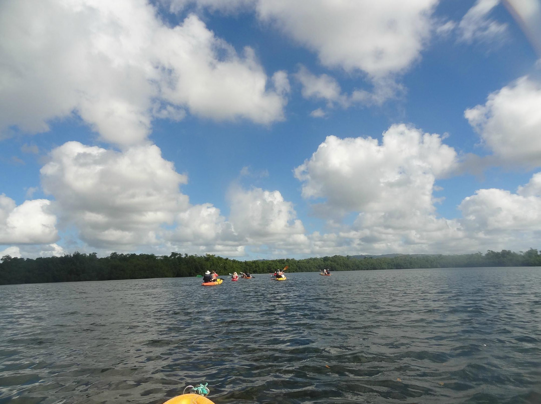 Kayak Aventure Mangrove-Ducos必去景点
