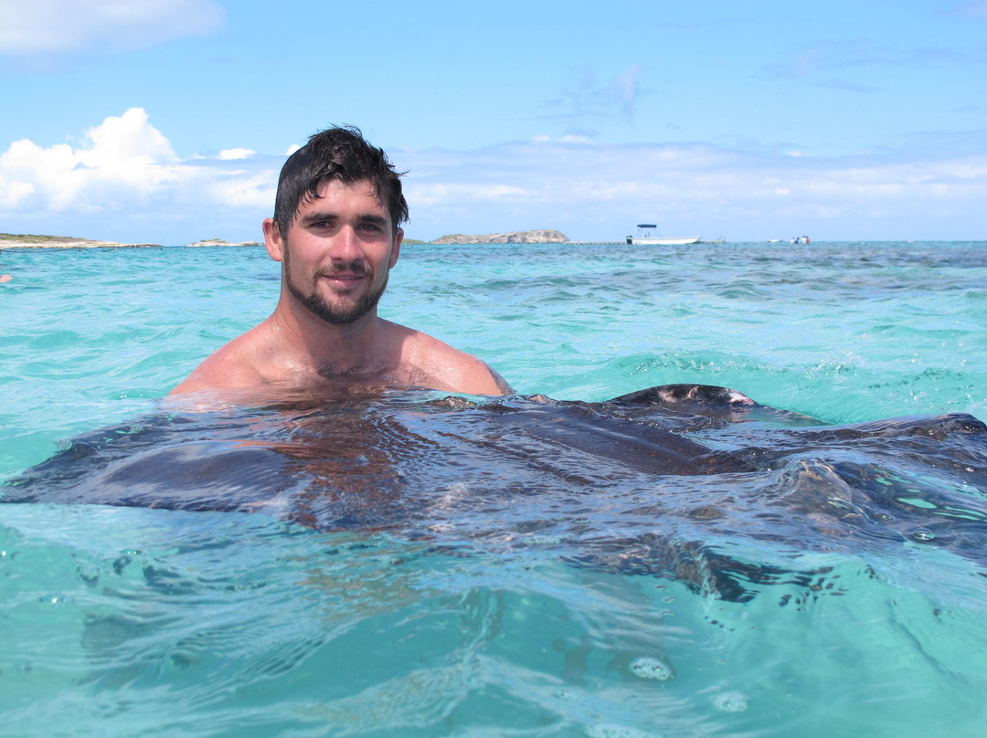 Stingray City Bahamas景点图片