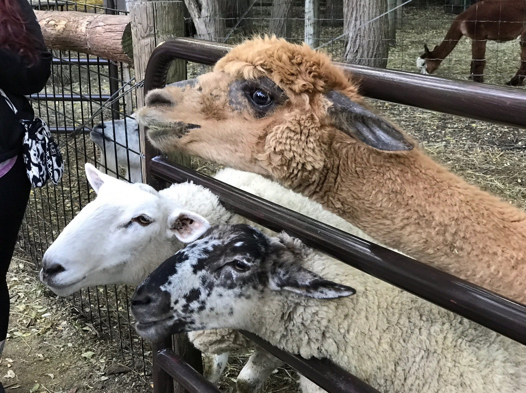 Powers Farm Market-Pittsford必去景点
