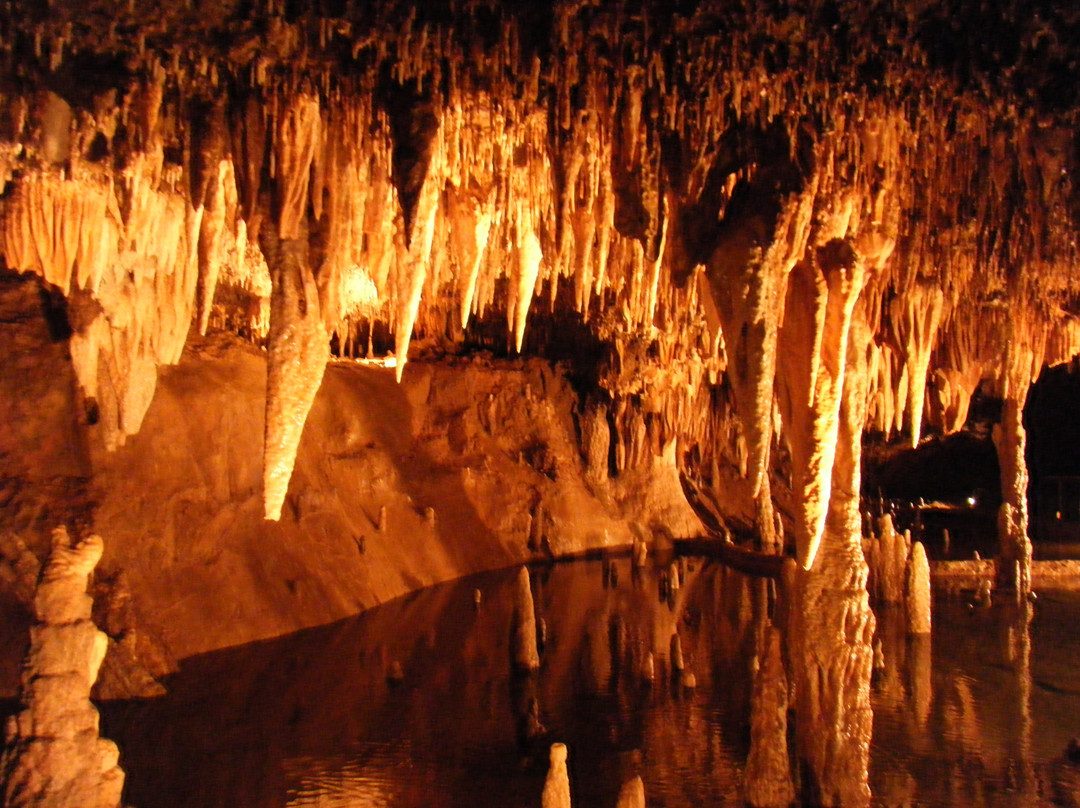 Meramec Caverns景点图片
