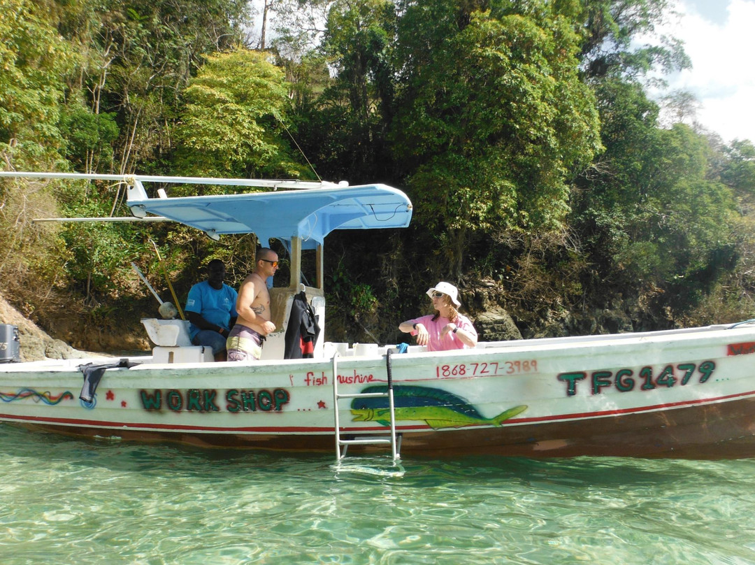 Environmental Research Institute Charlotteville