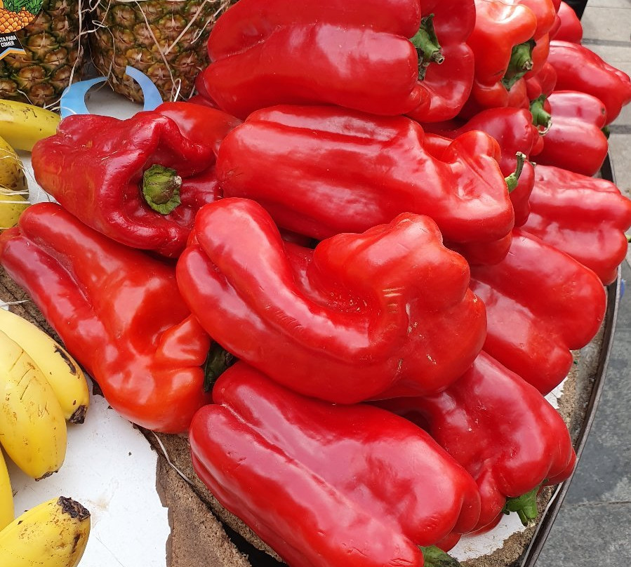 Pollensa Market-Pollenca必去景点