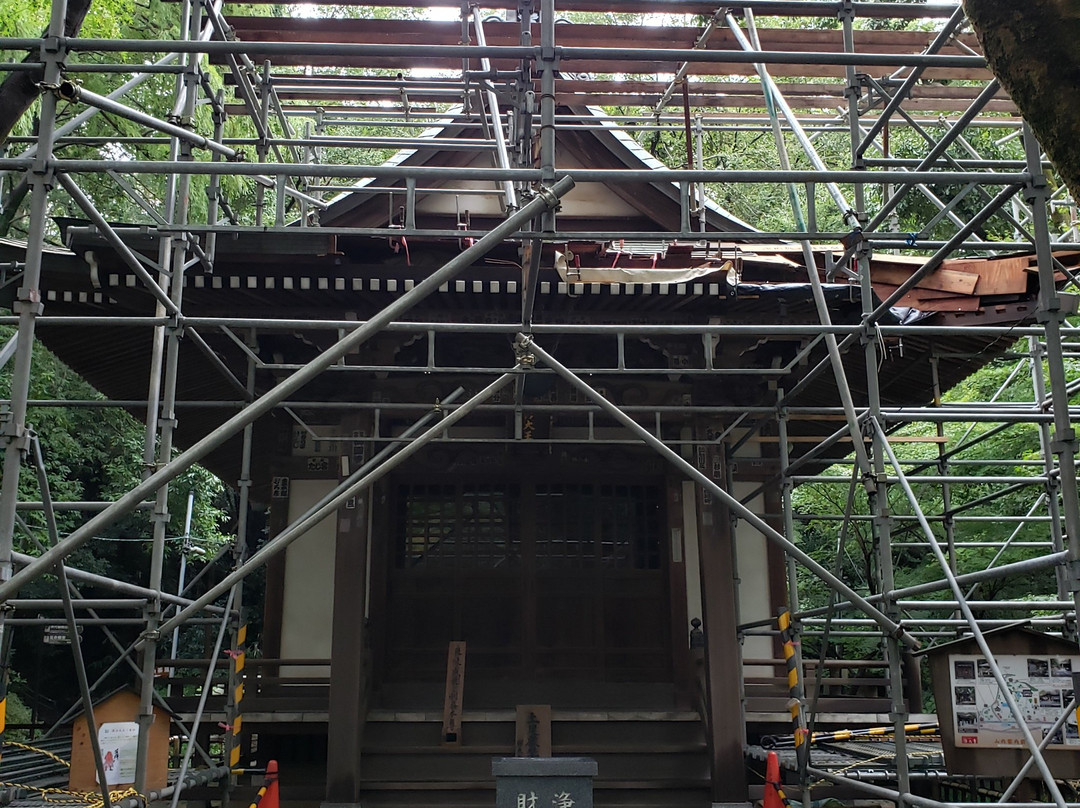 Jindai-ji Temple Jinjado-调布市必去景点
