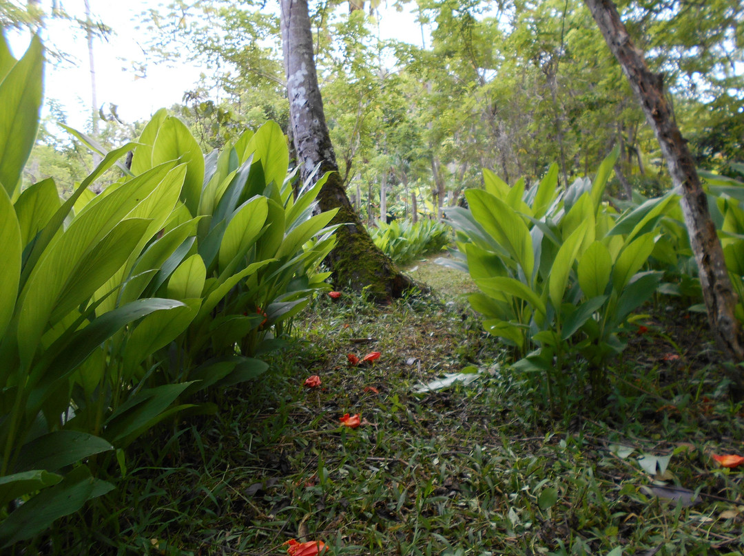 Rancho Espanol旅游攻略图片