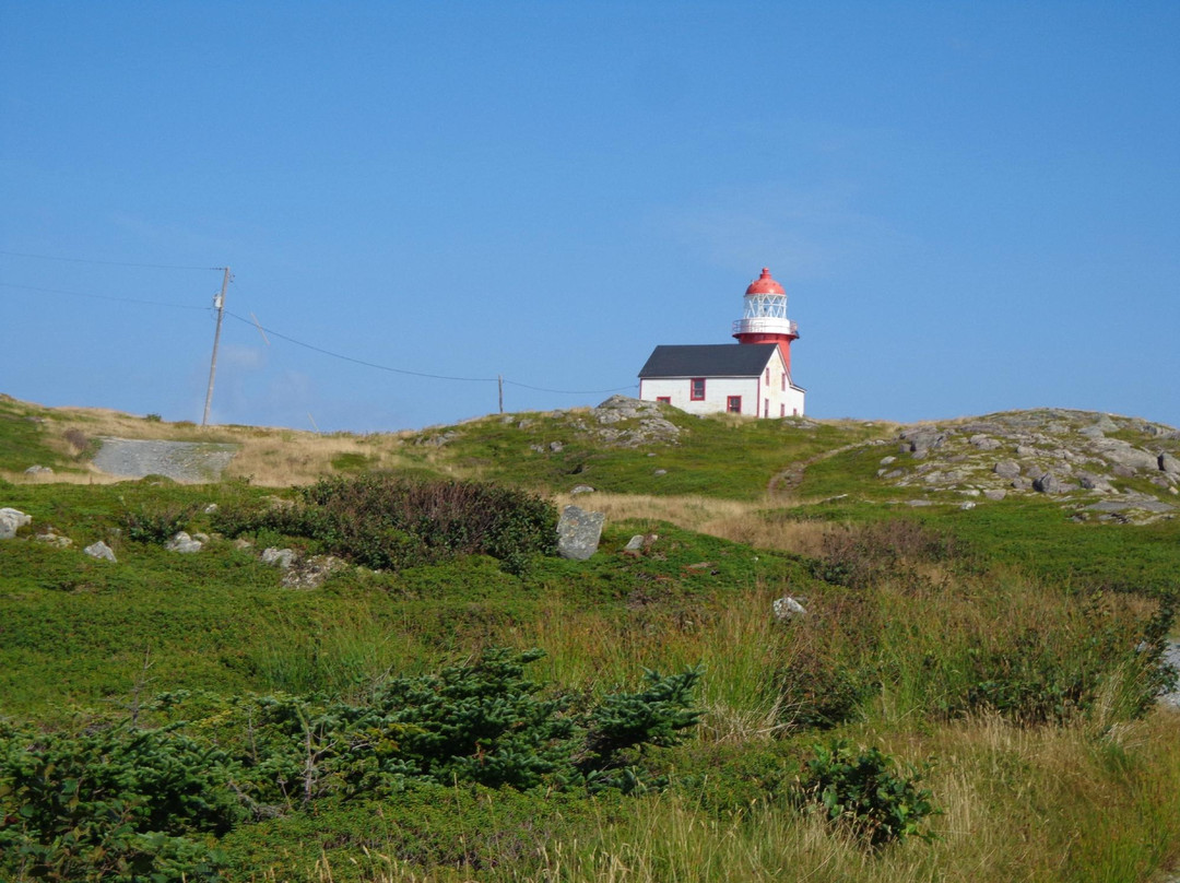 Ferryland Town景点图片