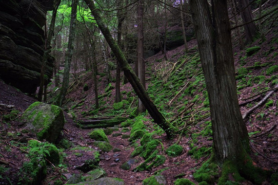 Centreville旅游攻略图片