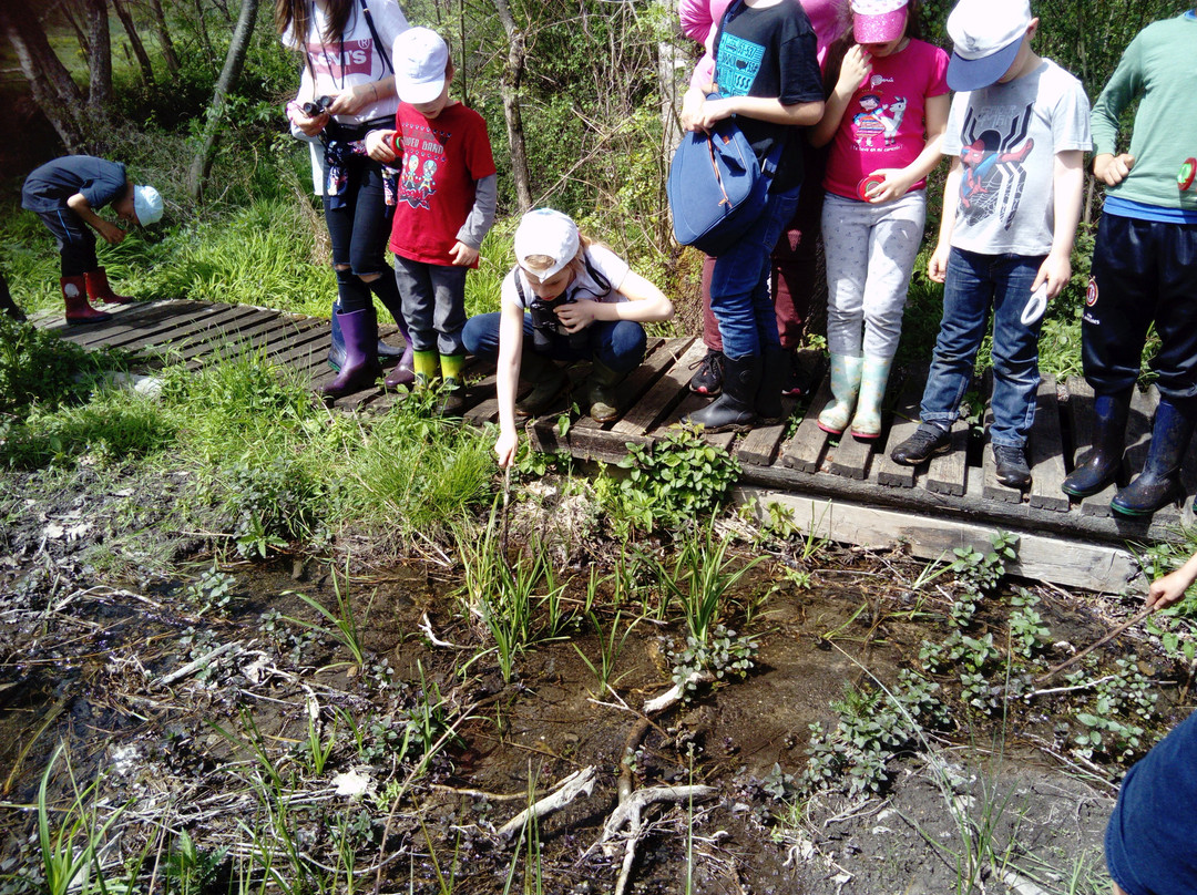 Site Naturel des Tourbieres-Vendoire必去景点