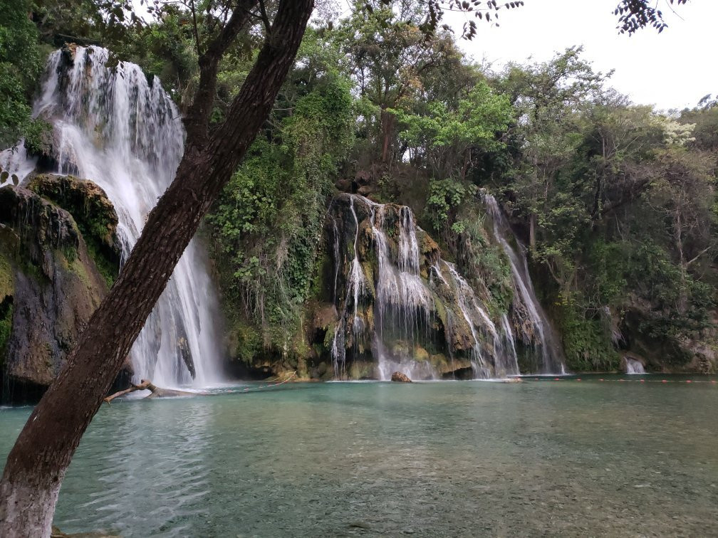 Cascadas de Tamasopo景点图片