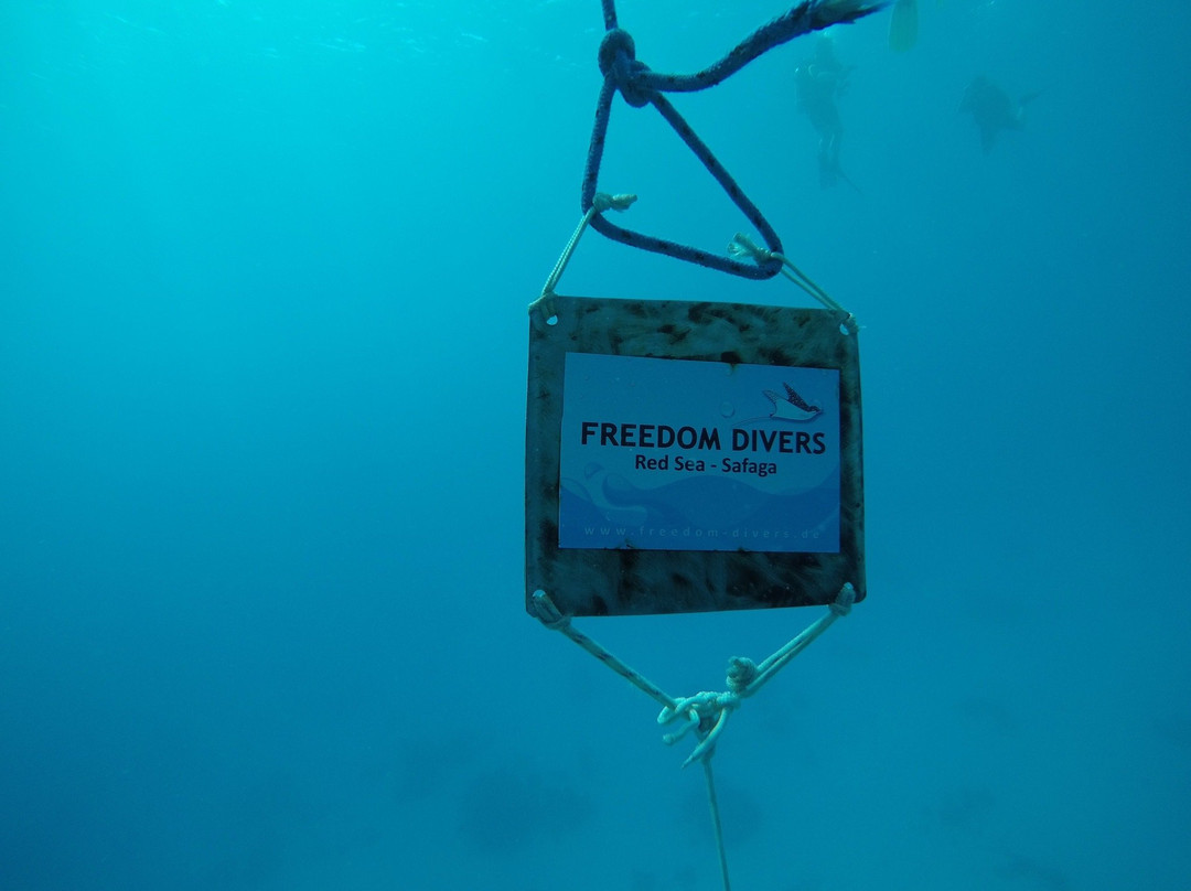 Freedom Divers Safaga-Port Safaga必去景点