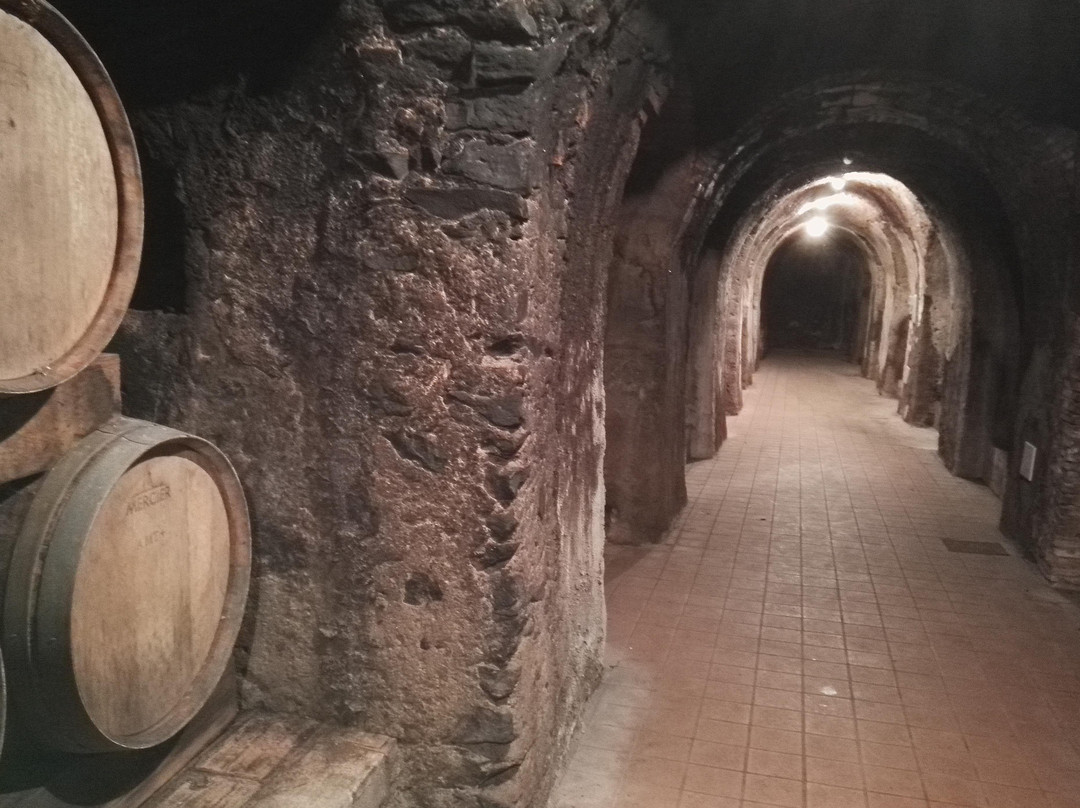 Enotria Wine Experience景点图片