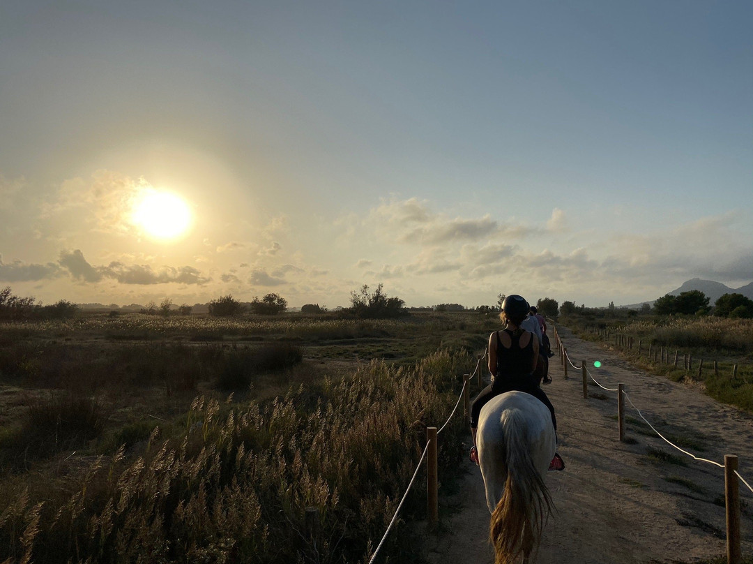 Hipica Mas Paguina-L'Estartit必去景点