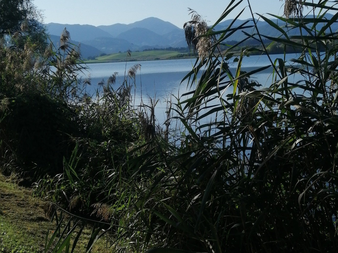 Velenje Beach景点图片