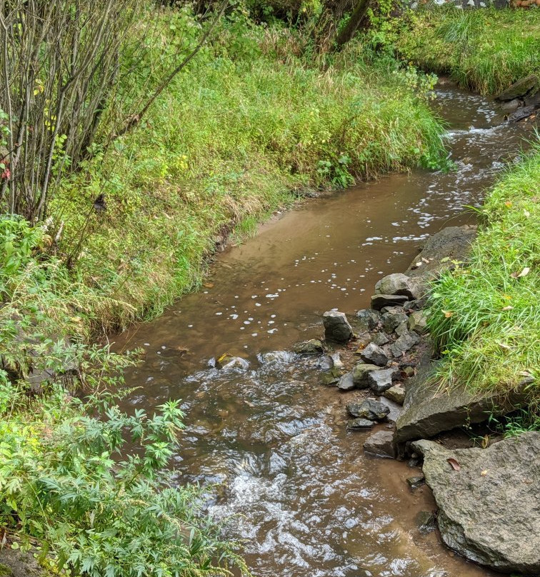 Powder Mills Park-Pittsford必去景点