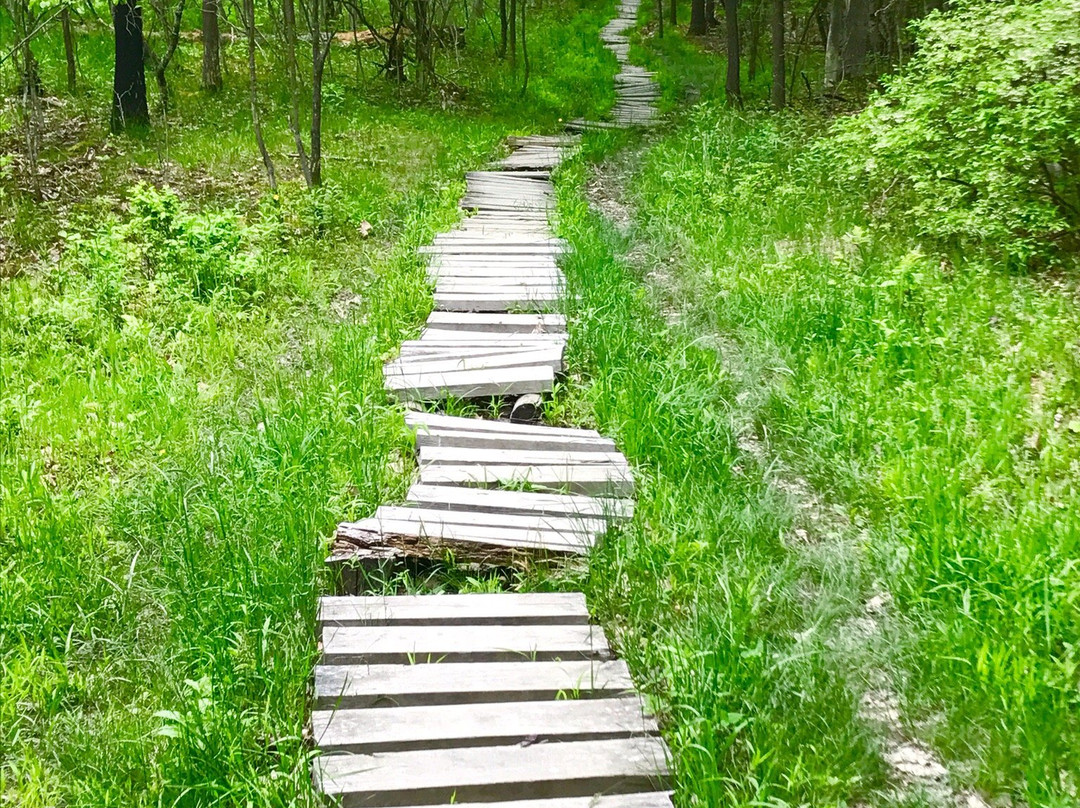 Binghamton University Nature Preserve