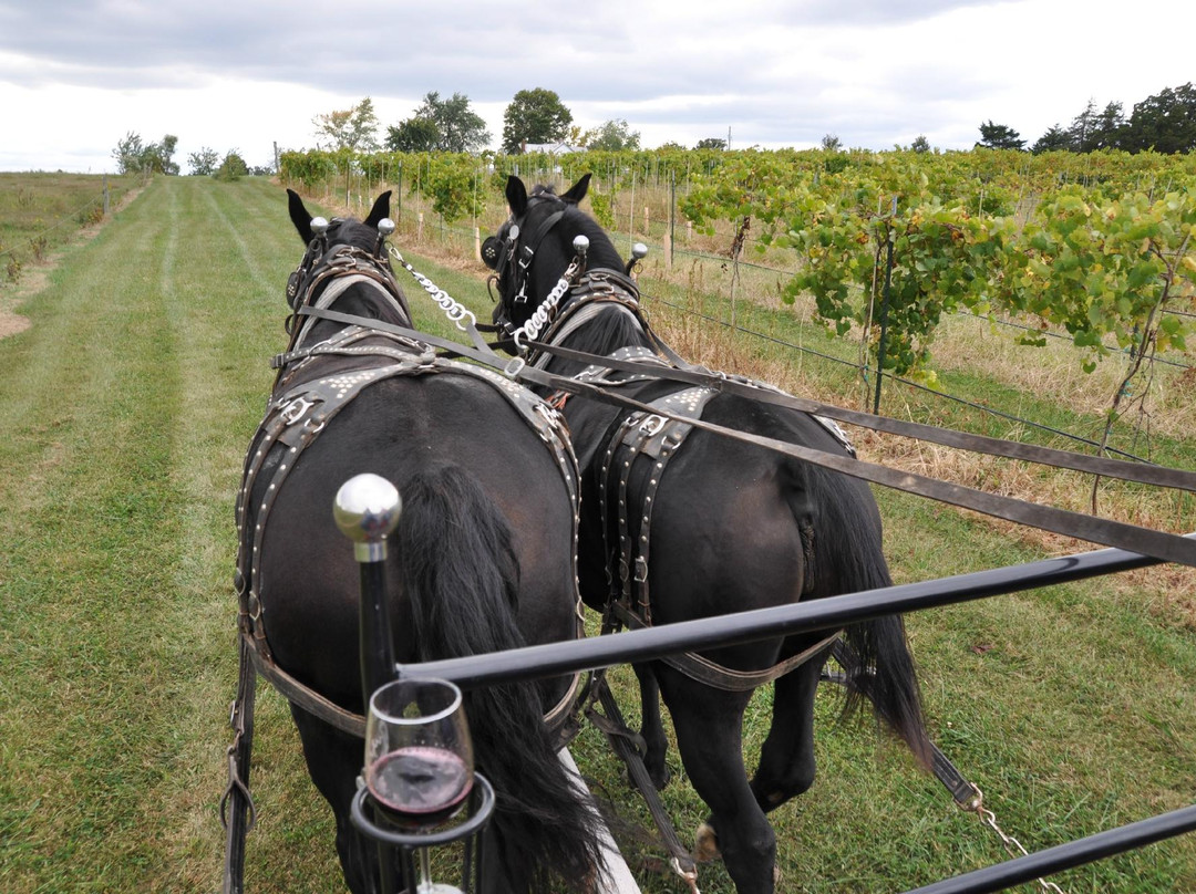 Wine Country Wagon景点图片