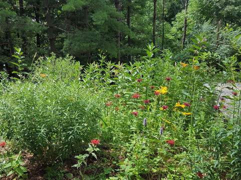 North Liberty旅游景点-Macbride Nature Recreation Area