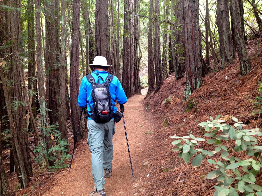 Tam Hiking Tours景点图片