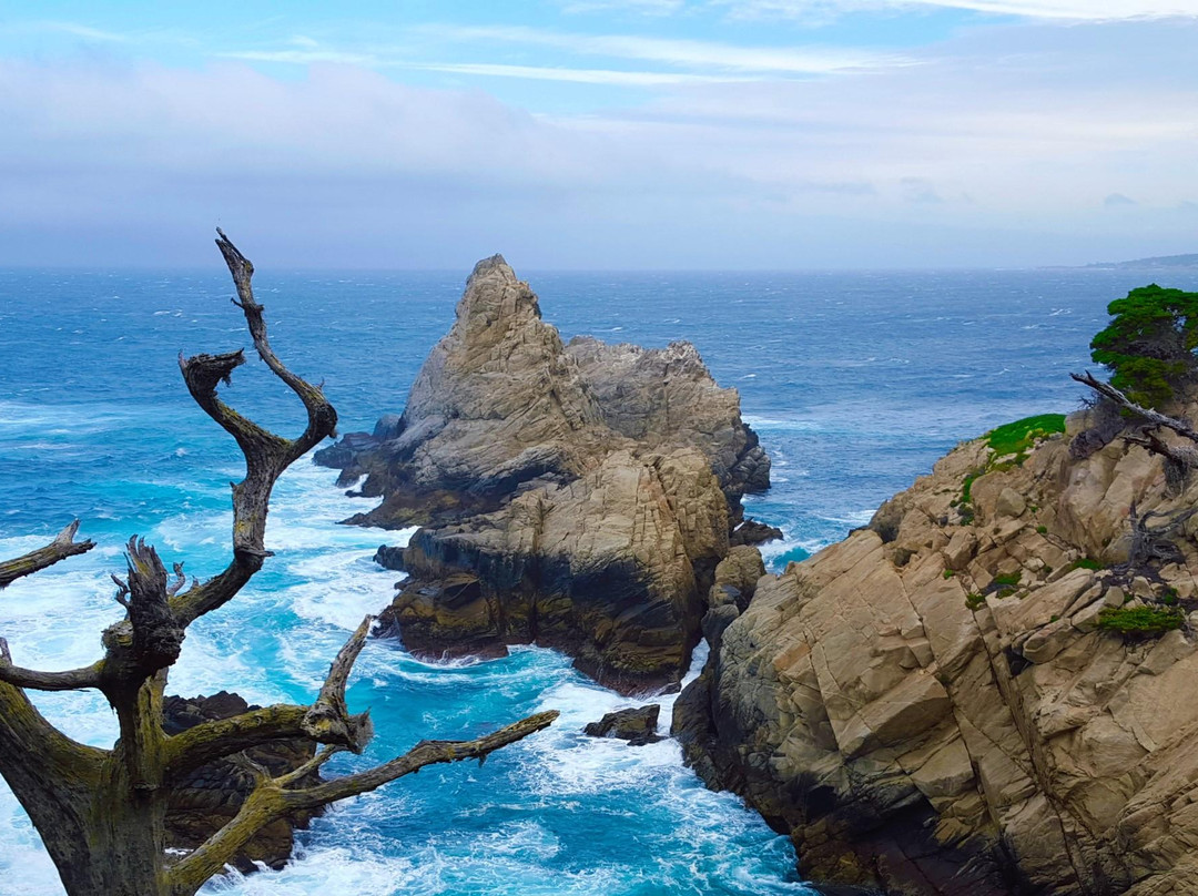 Monterey Adventure Tours景点图片