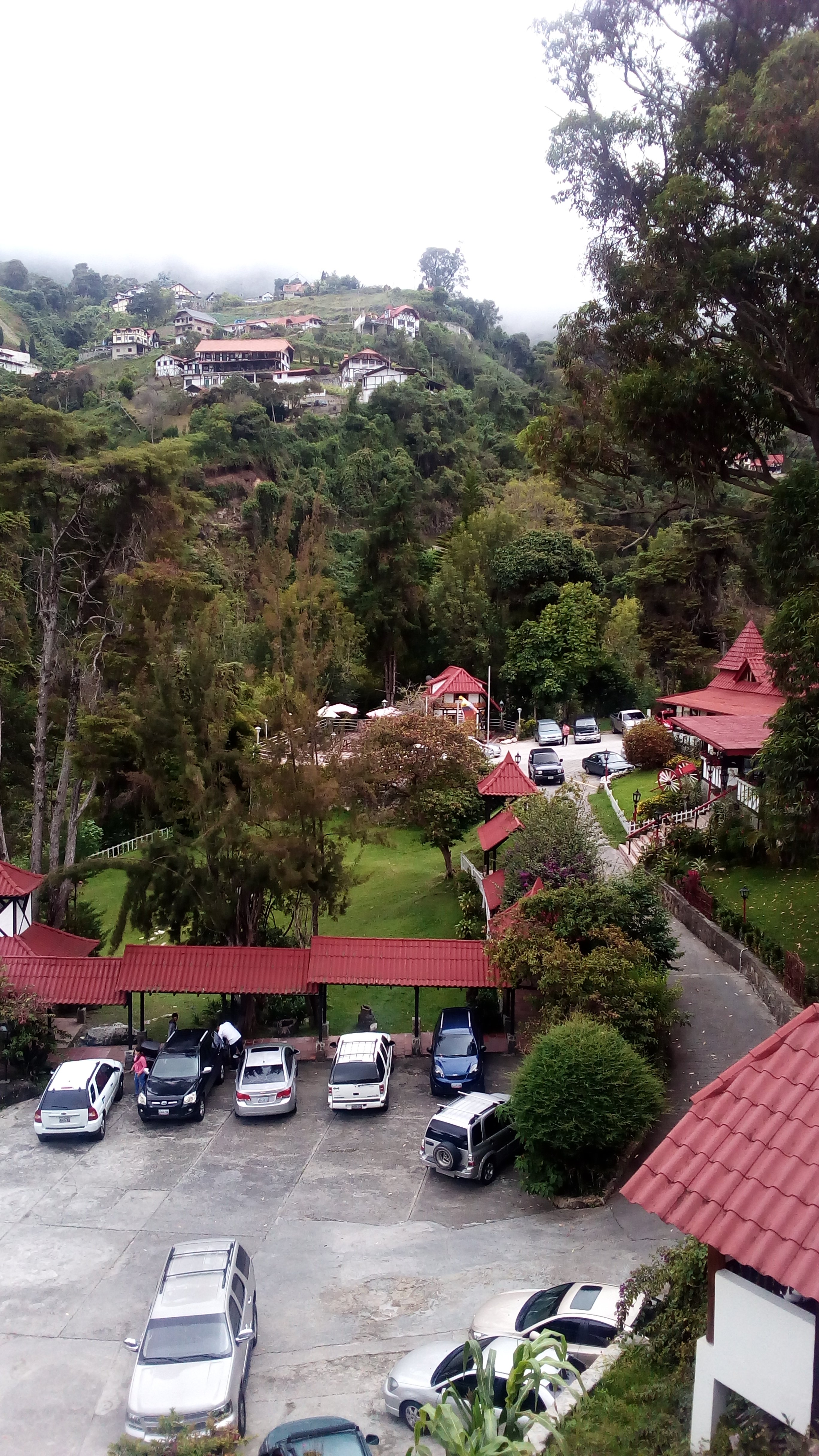 Hotel Selva Negra-酒店景观