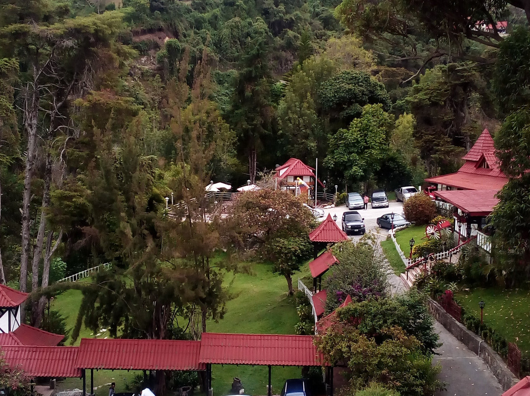 Hotel Selva Negra主图