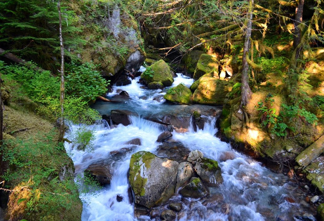 Ladder Creek Falls景点图片