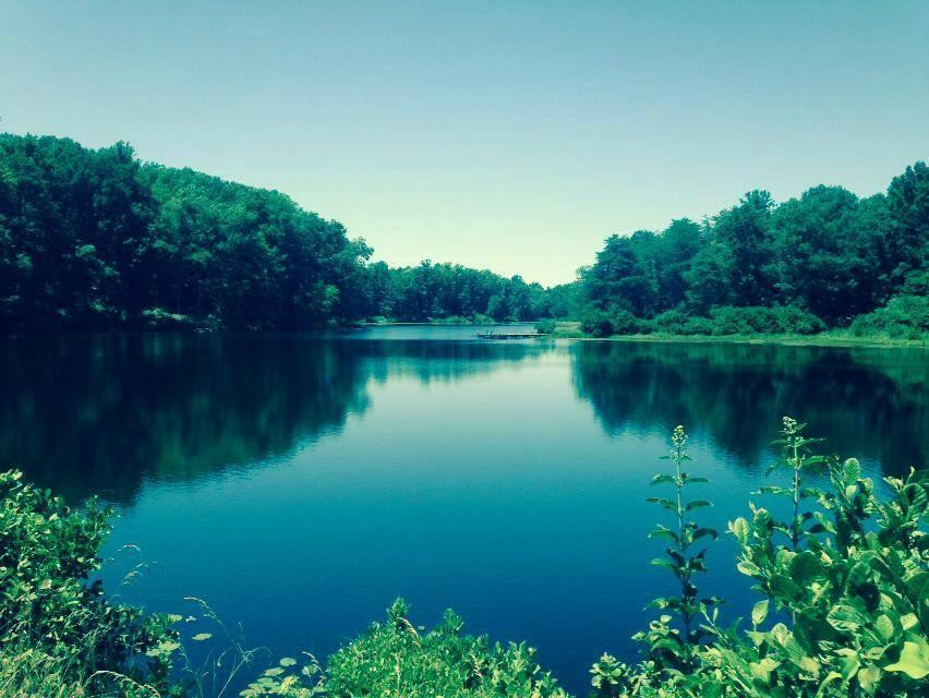 Cavalier Sporting Clays-Montpelier必去景点