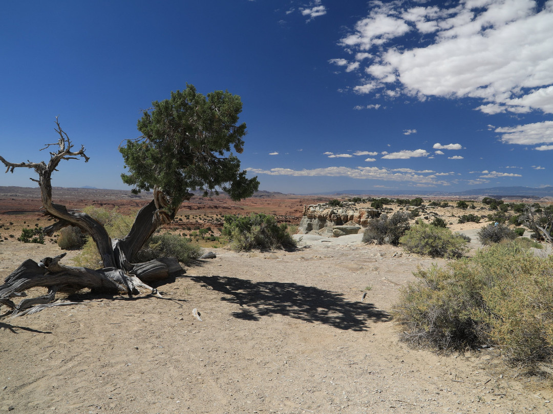 Castle Dale旅游景点-Salt Wash View Area