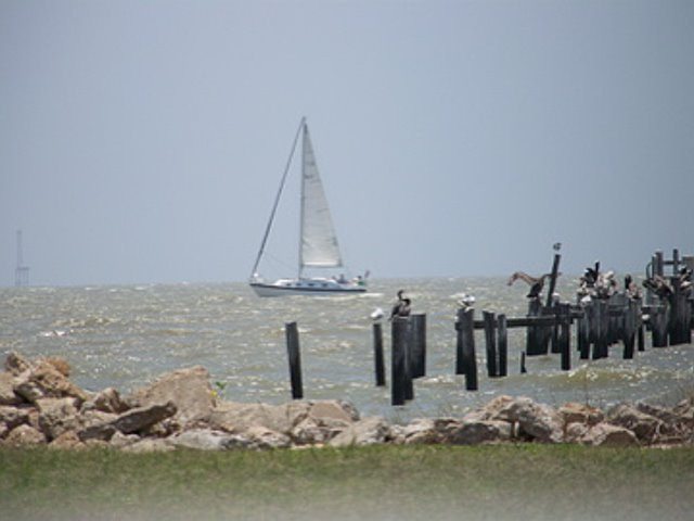 El Jardin Del Mar-盖维斯顿必去景点