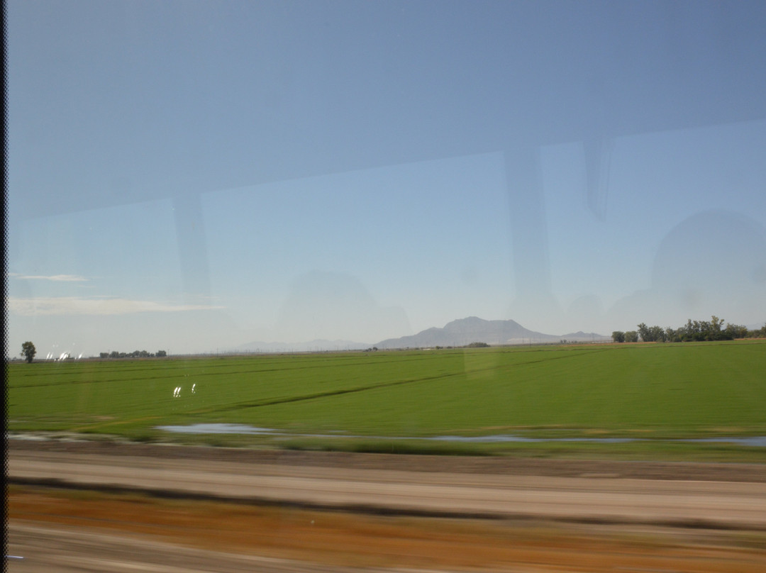 Imperial Sand Dunes-Niland必去景点