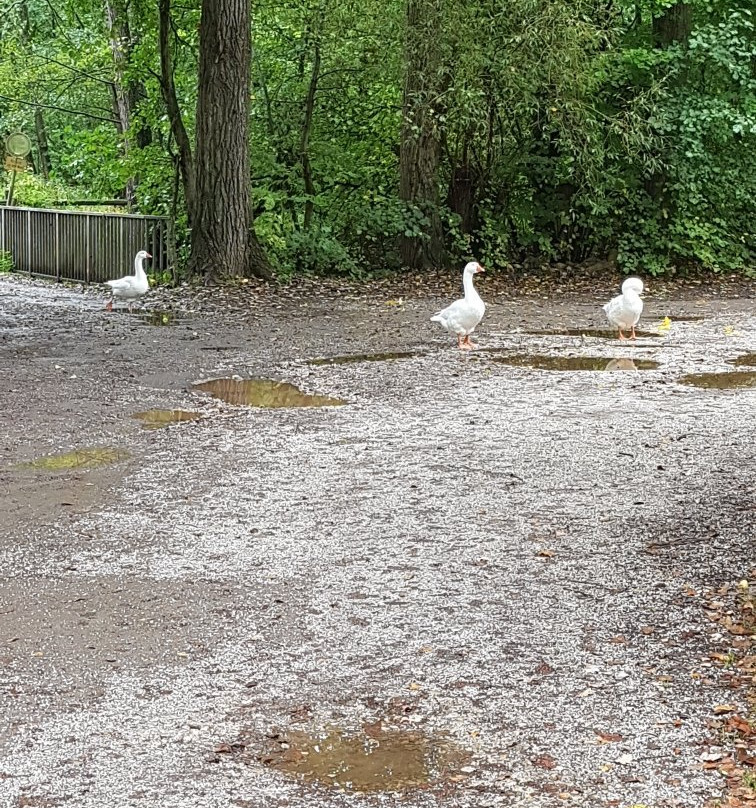 Hotel Weingut Karlsmuhle主图