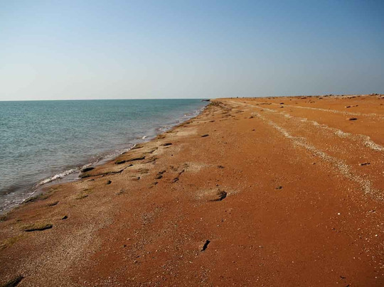 Nakhiloo Island-Bushehr Province必去景点