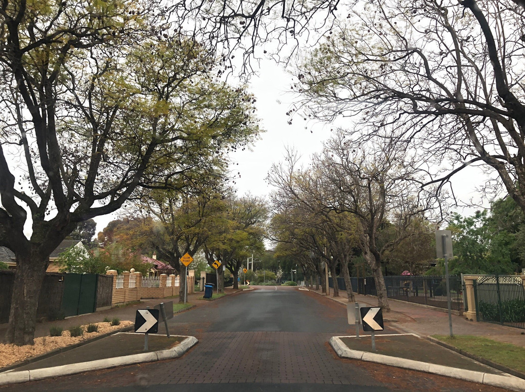 Forest Avenue Reserve-Everard Park必去景点