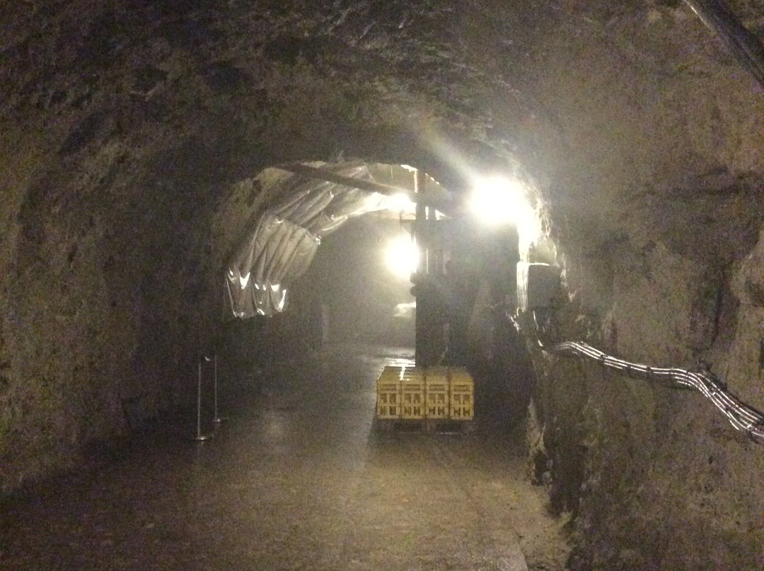 Shimazaki Sake Brewery-那须乌山市必去景点