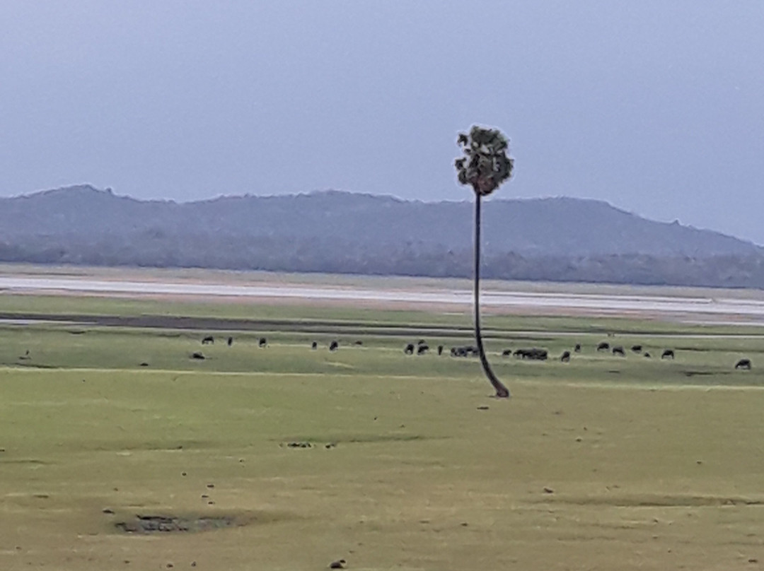 尼斯旅游攻略图片