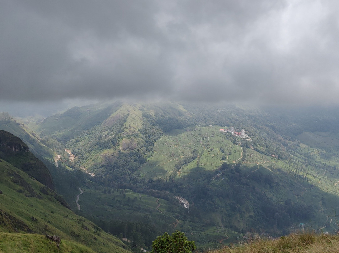 Amazing Munnar Tours景点图片