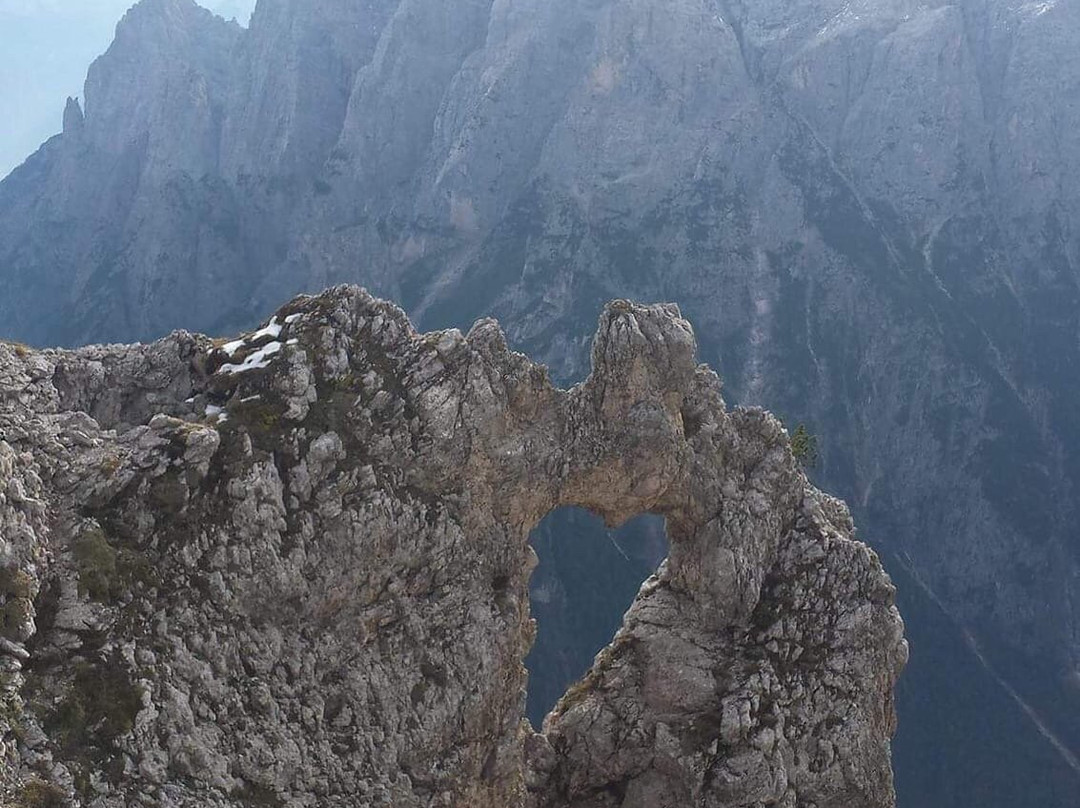 Dolomiti Explora Day Tours景点图片