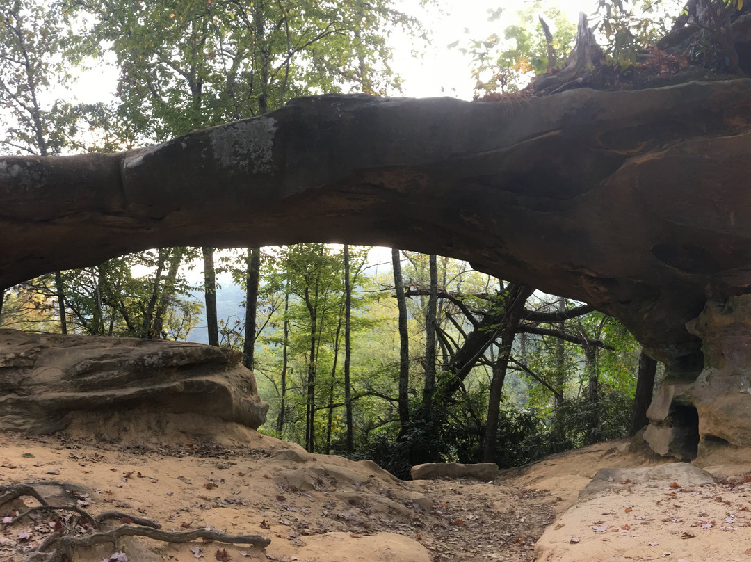 Campton Parkway Inn主图