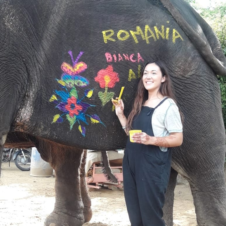 Hathi Gaon Elephant Village景点图片